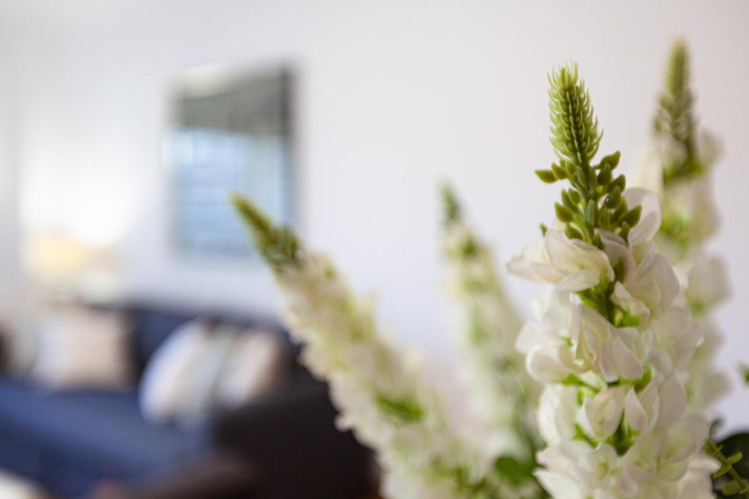 Apartamento Lisboa Sete Rios Eksteriør billede